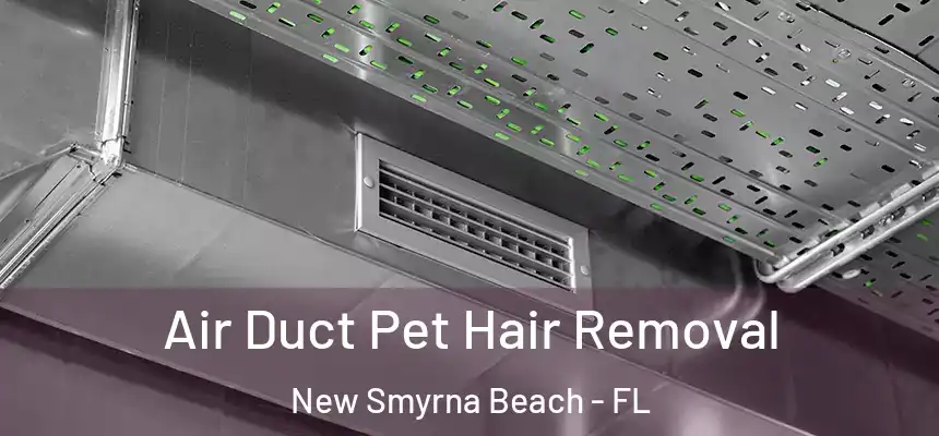 Air Duct Pet Hair Removal New Smyrna Beach - FL