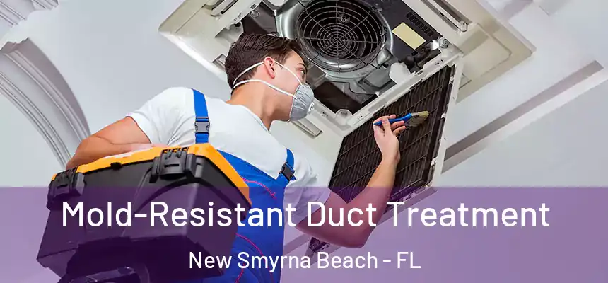  Mold-Resistant Duct Treatment New Smyrna Beach - FL