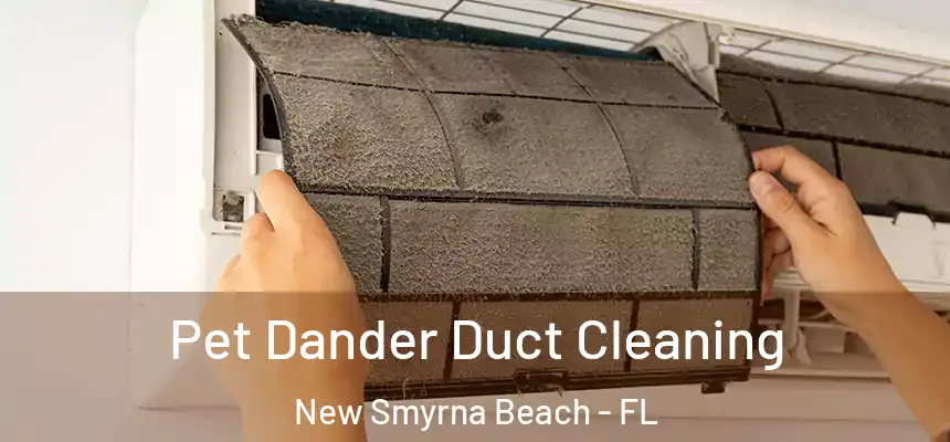 Pet Dander Duct Cleaning New Smyrna Beach - FL